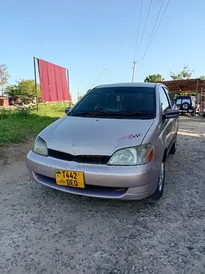 Toyota Platz 2000 Brown