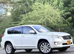 Toyota Vanguard 2010 White