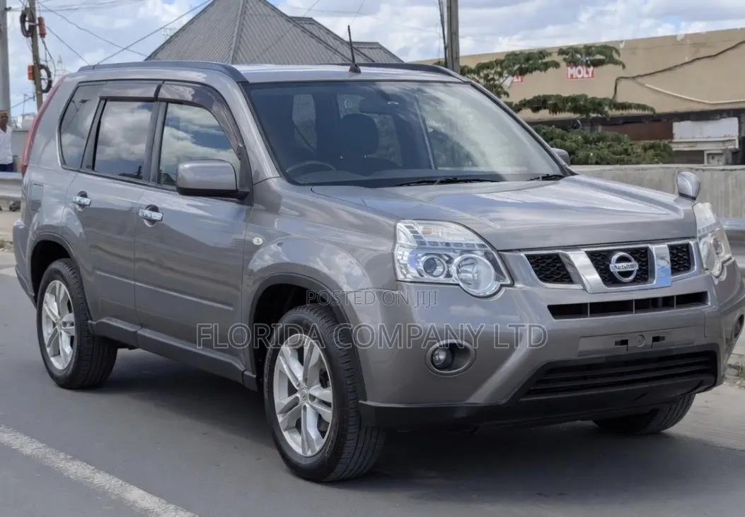 Nissan X-Trail 2010 Gray
