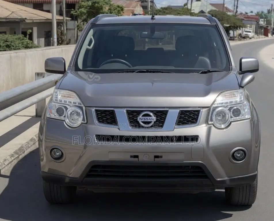 Nissan X-Trail 2010 Gray