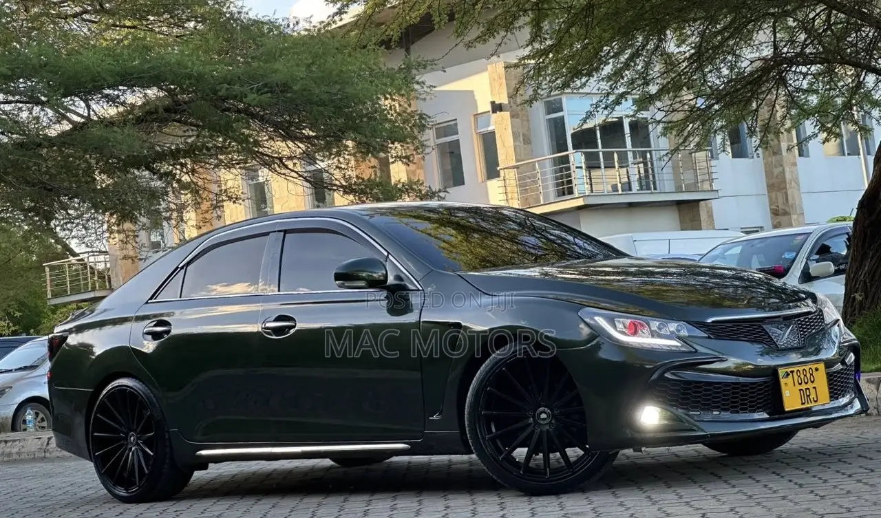 Toyota Mark X 2010 Green