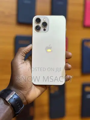 Apple iPhone 12 Pro Max 256 GB White
