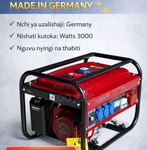 Professional Generator