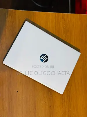 Laptop HP ProBook MT31 8GB SSD 512GB