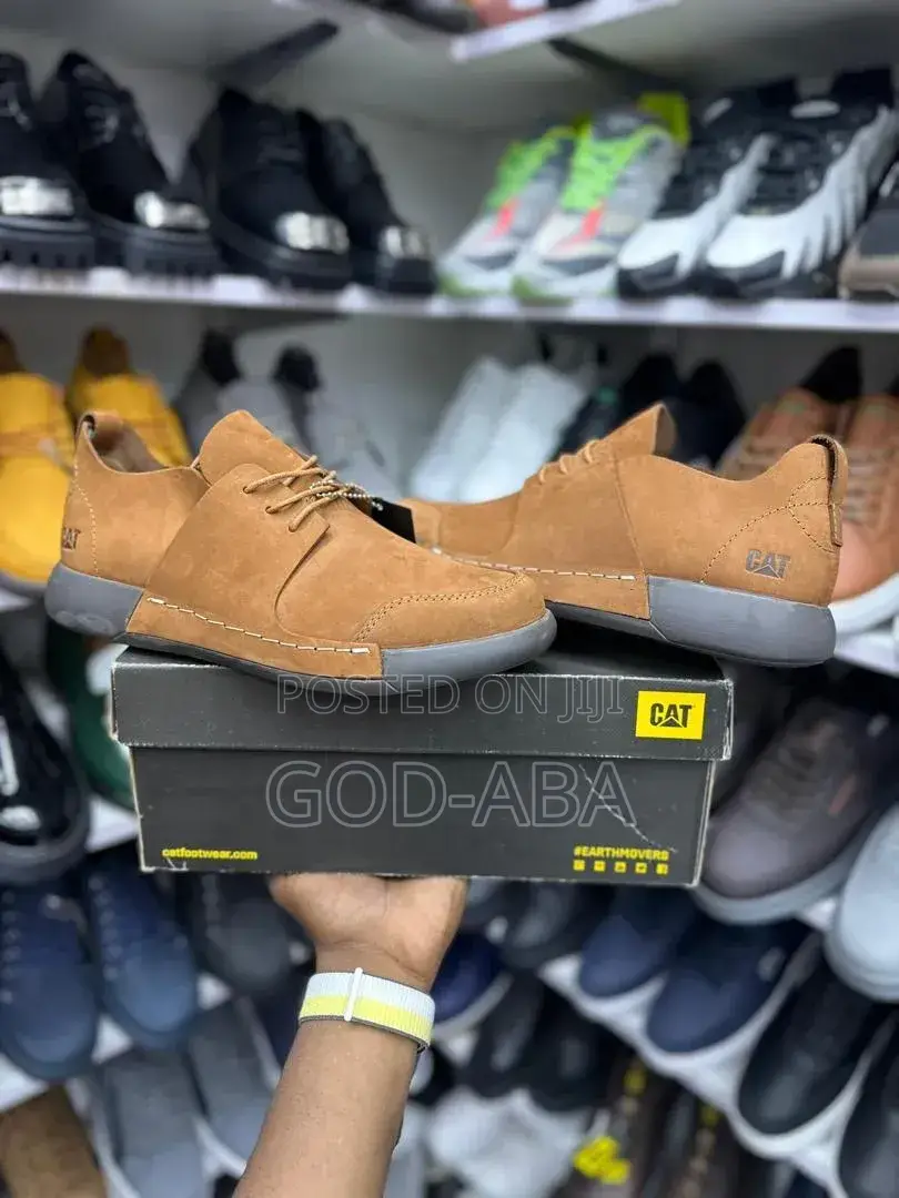 New Fashion And Design Shoes//Cat Casual Shoes Wear