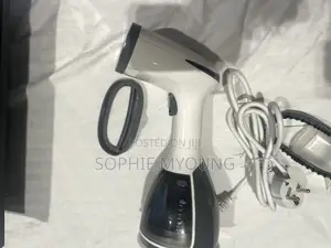Handheld Steam Iron