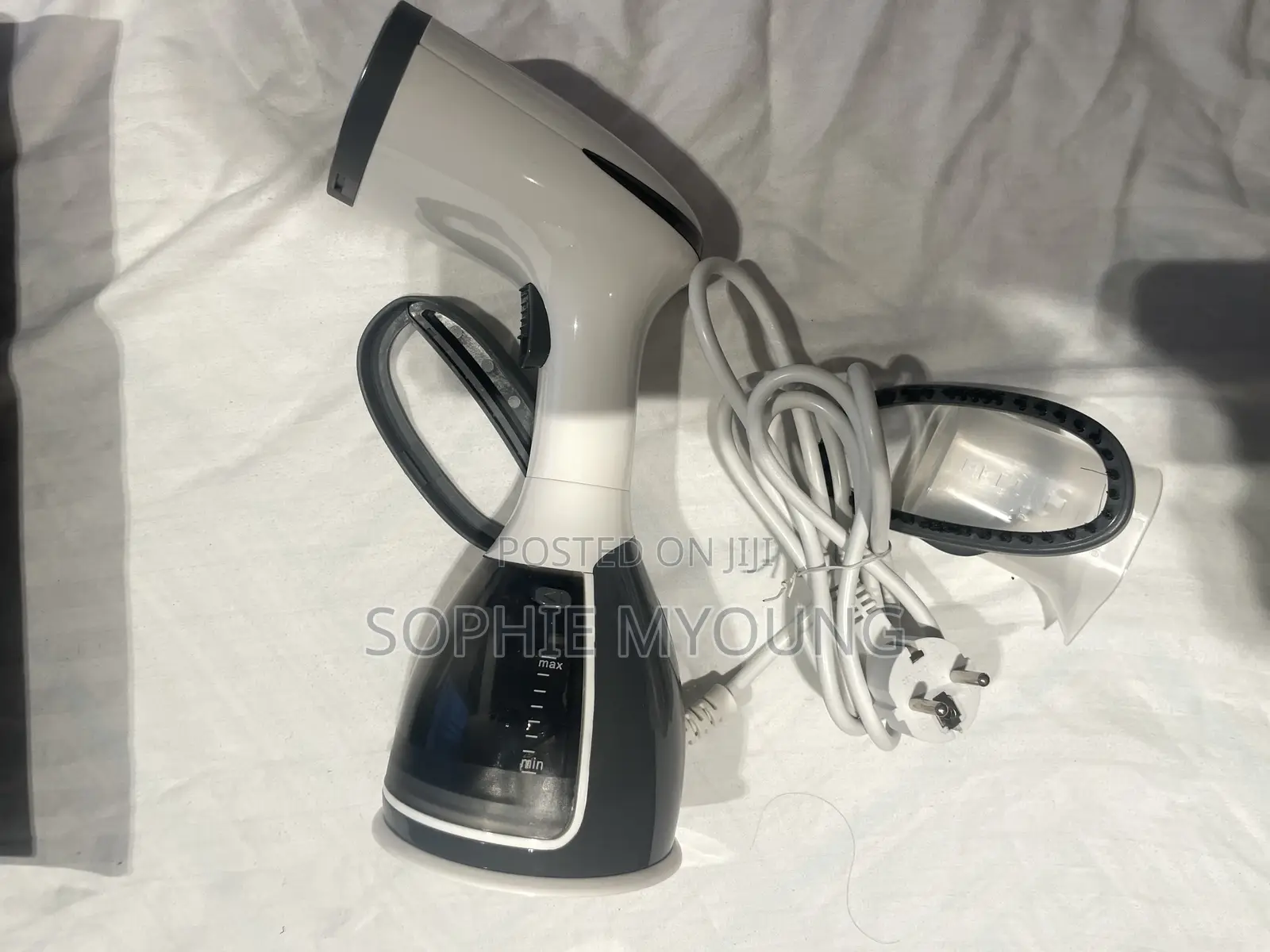 Handheld Steam Iron