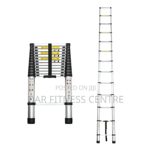 Telescope Ladder 3 Meters