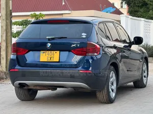 BMW X1 2011 Blue