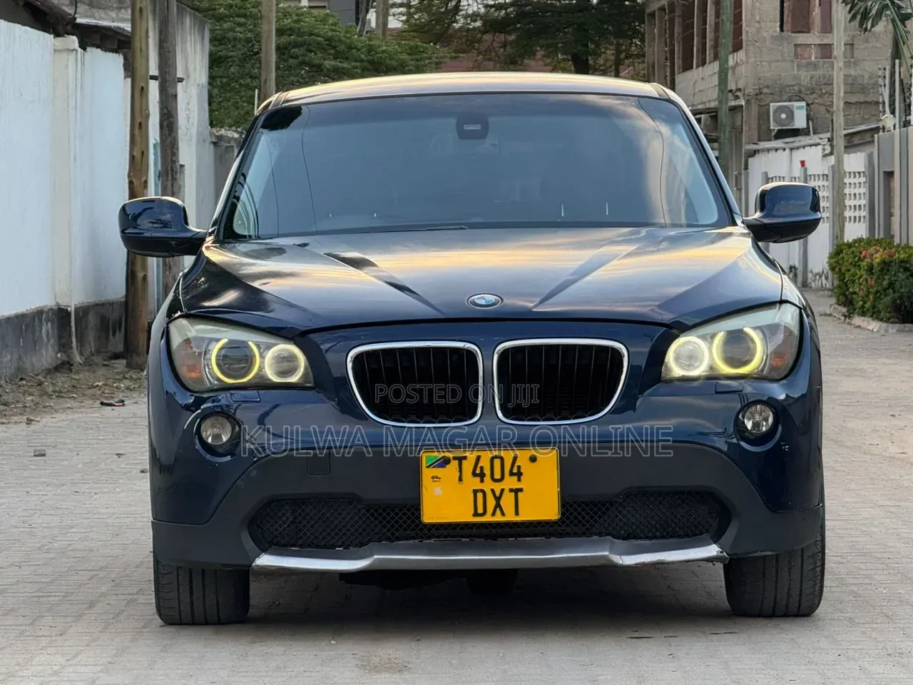 BMW X1 2011 Blue
