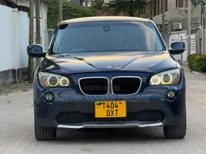 BMW X1 2011 Blue