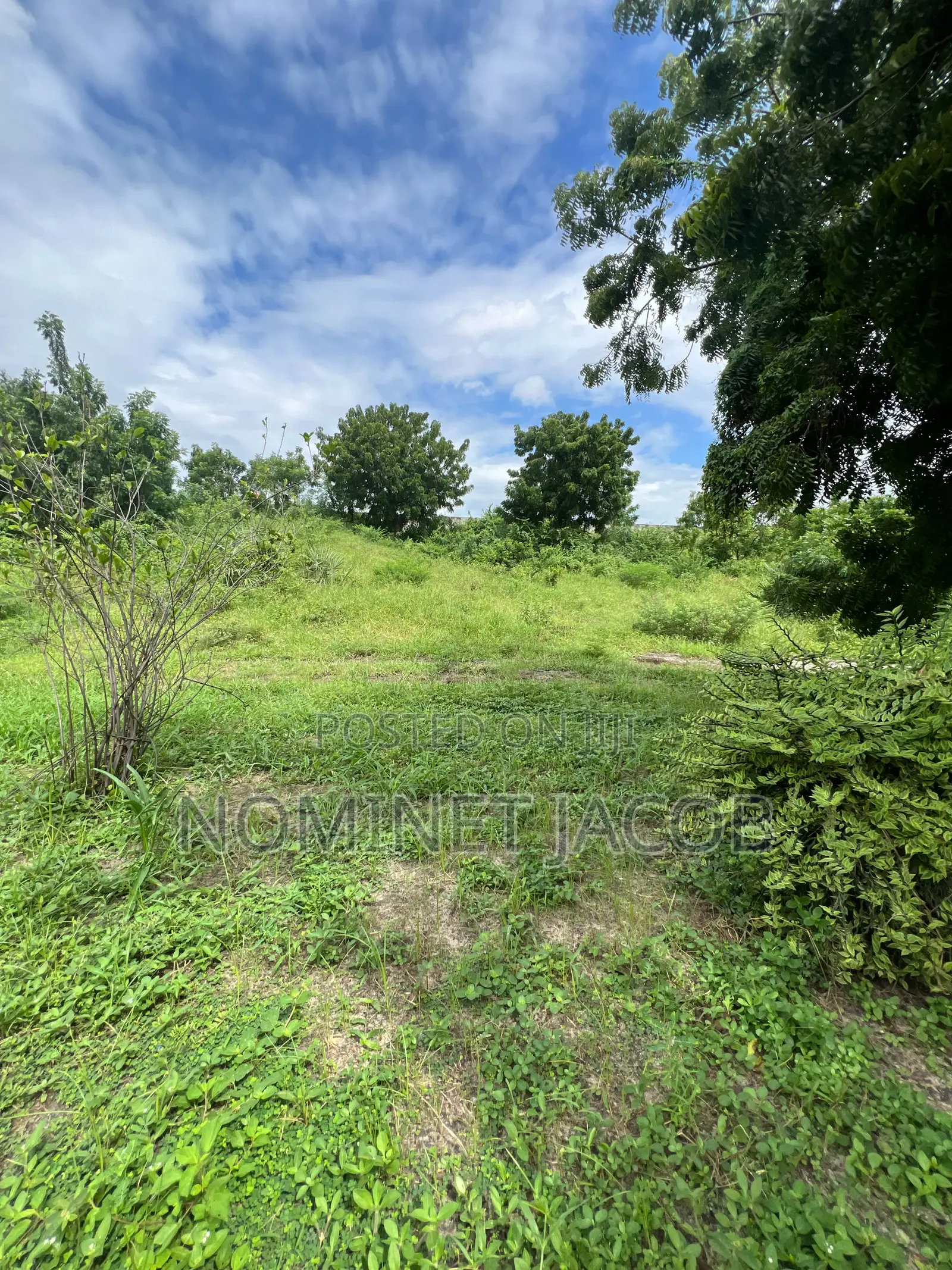 Plot for Sale