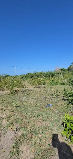 Farm for Sell