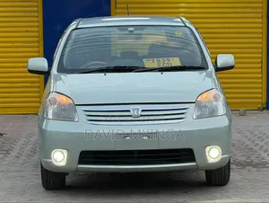 Toyota Raum 2008 Silver