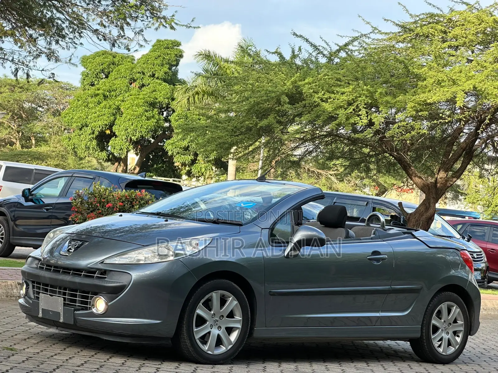 Peugeot 207 2008 Gray