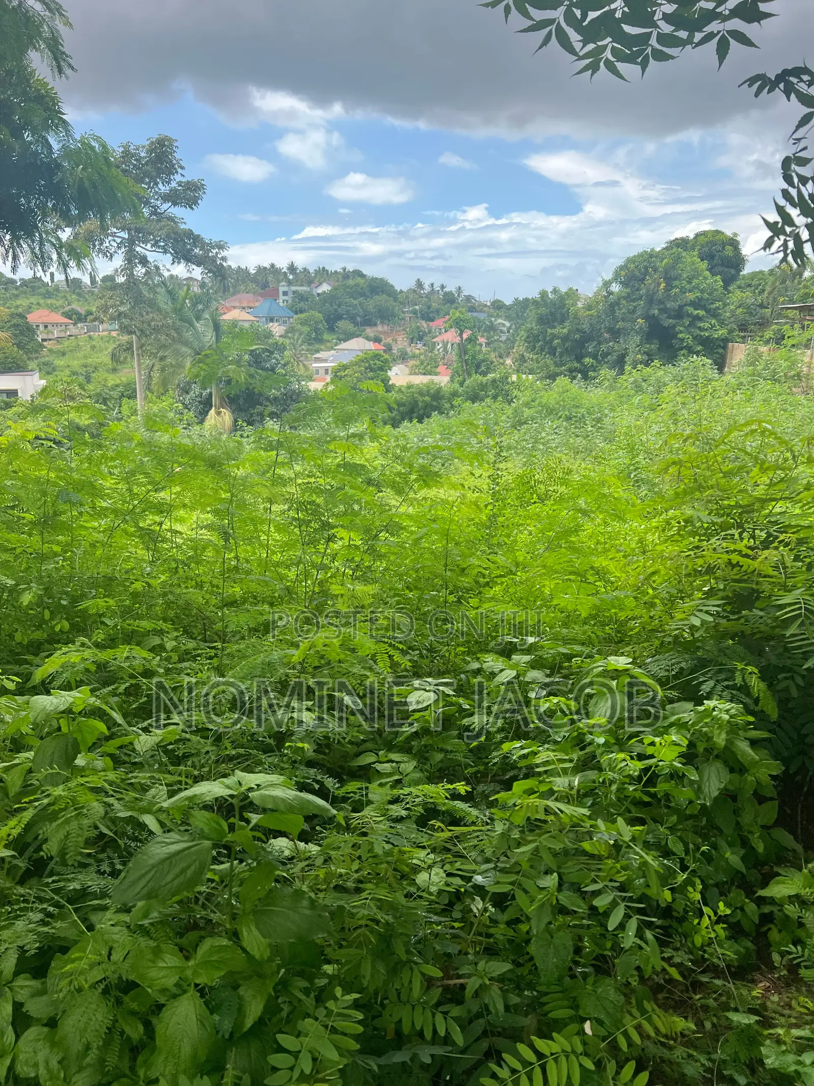 Plot for Sale
