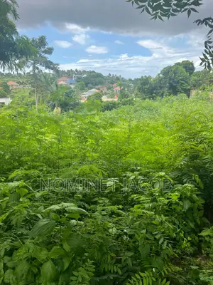 Plot for Sale