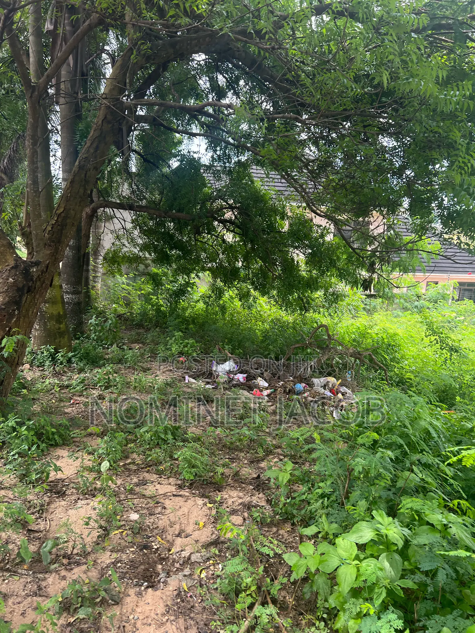 Plot for Sale
