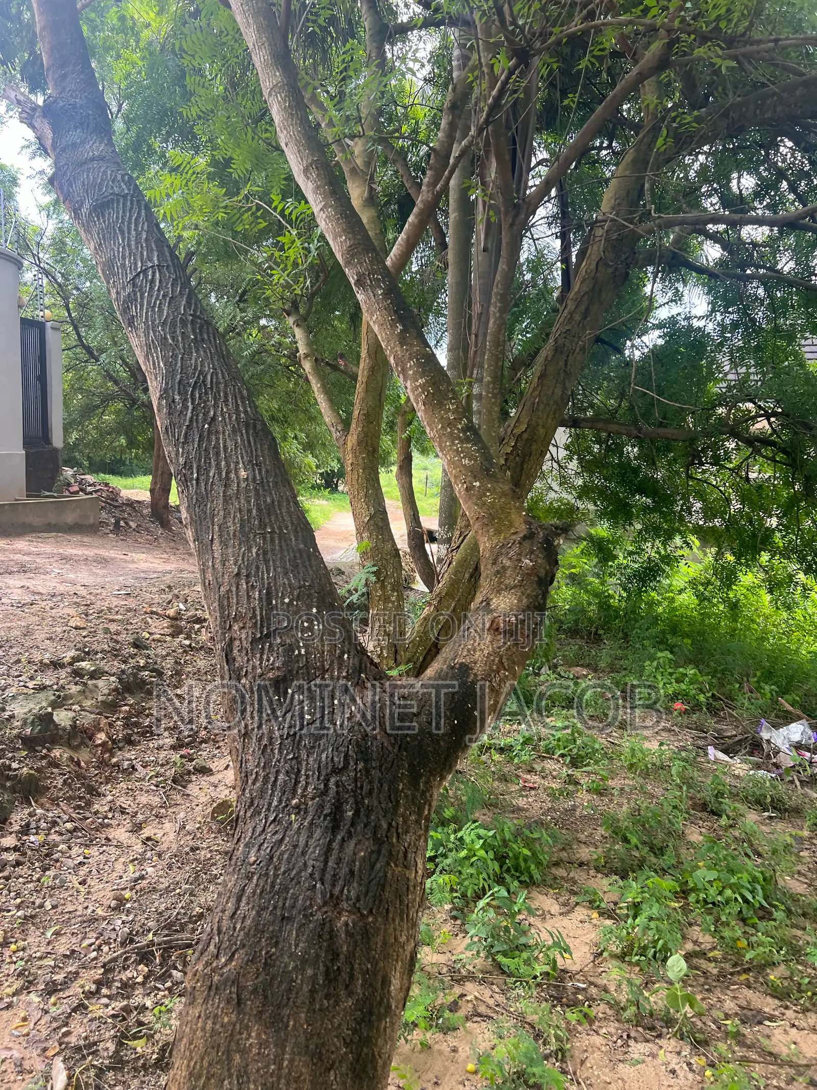 Plot for Sale