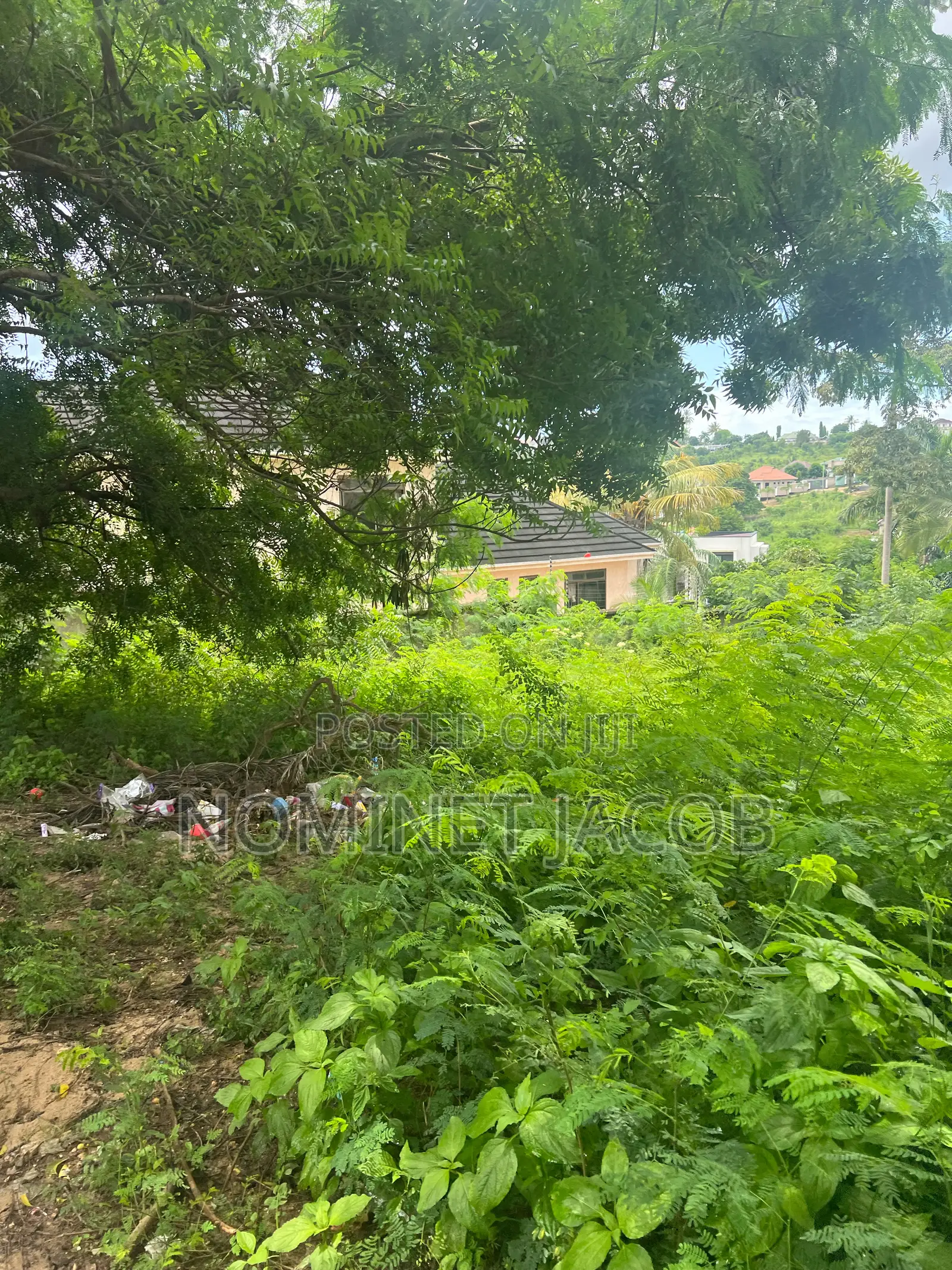 Plot for Sale