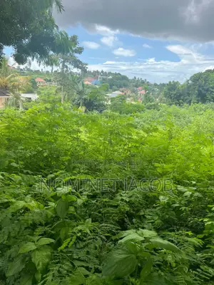 Plot for Sale