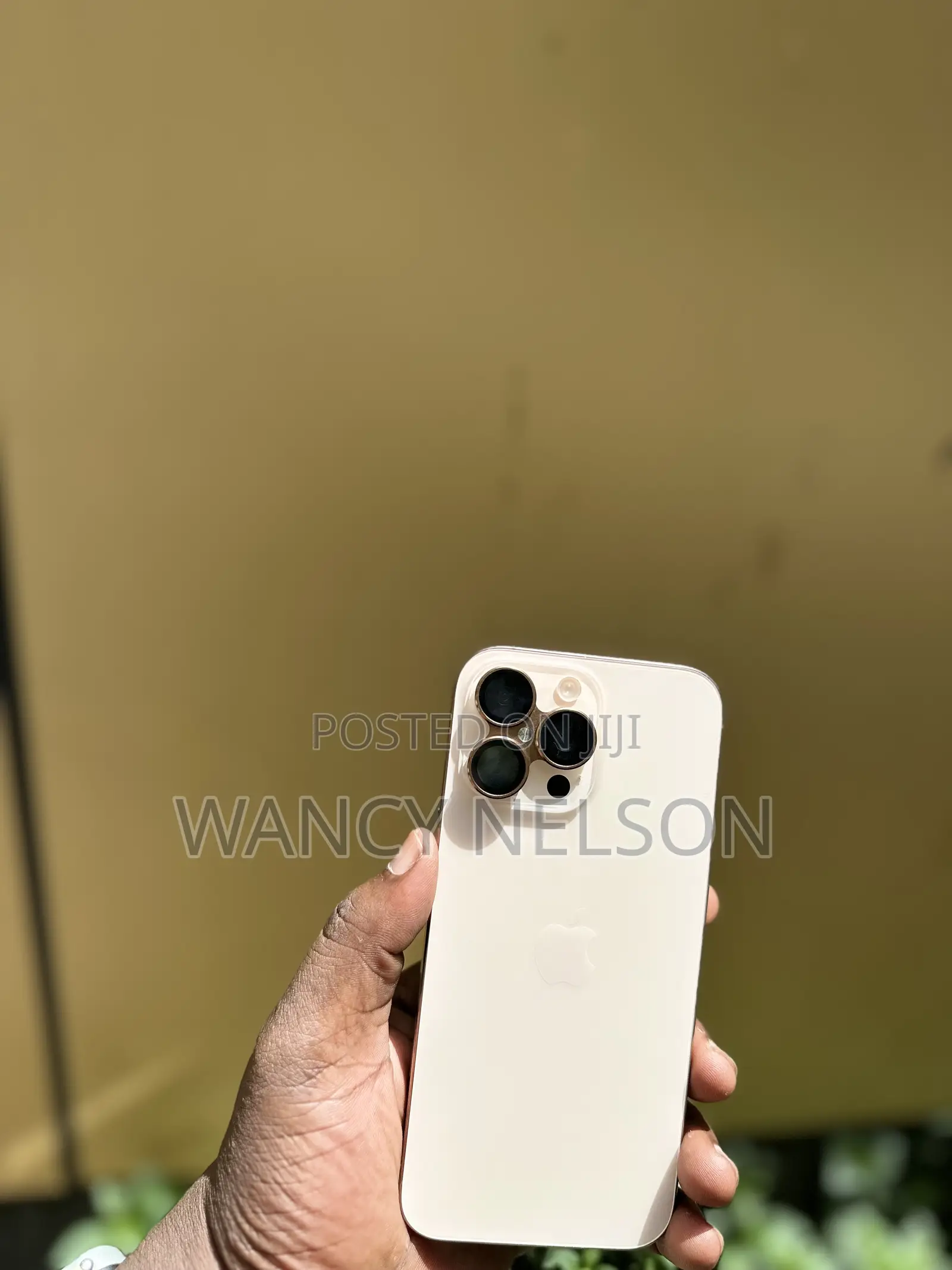 Apple iPhone 16 Pro Max 256 GB Gold