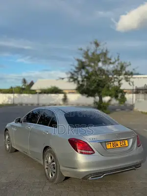 Mercedes-Benz C-Class 2014 Silver