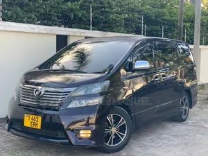 Toyota Alphard 2009 Gray