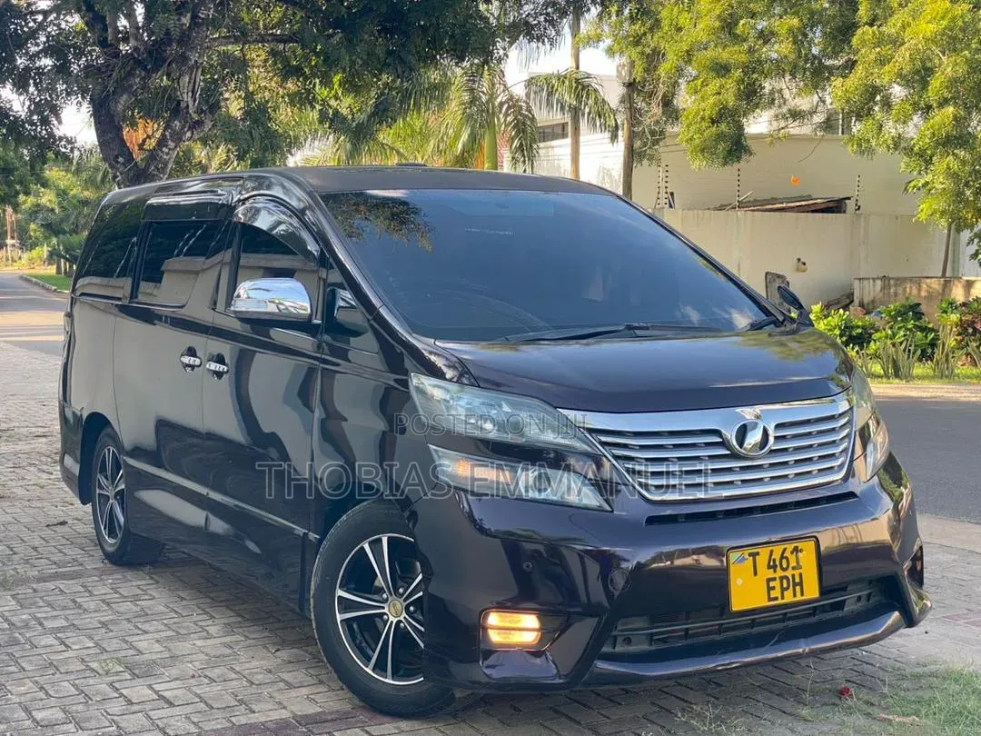 Toyota Alphard 2009 Gray