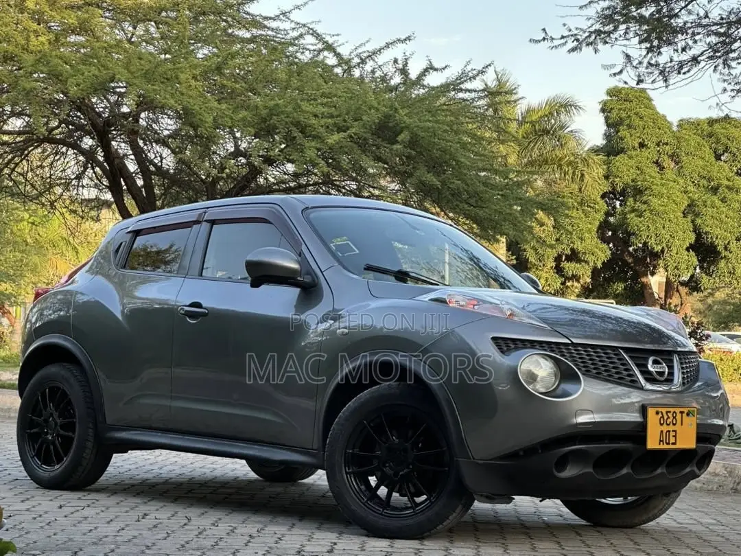 Nissan Juke 2011 Gray