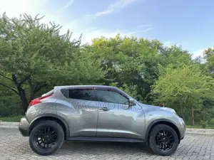 Nissan Juke 2011 Gray