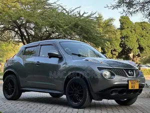 Nissan Juke 2011 Gray