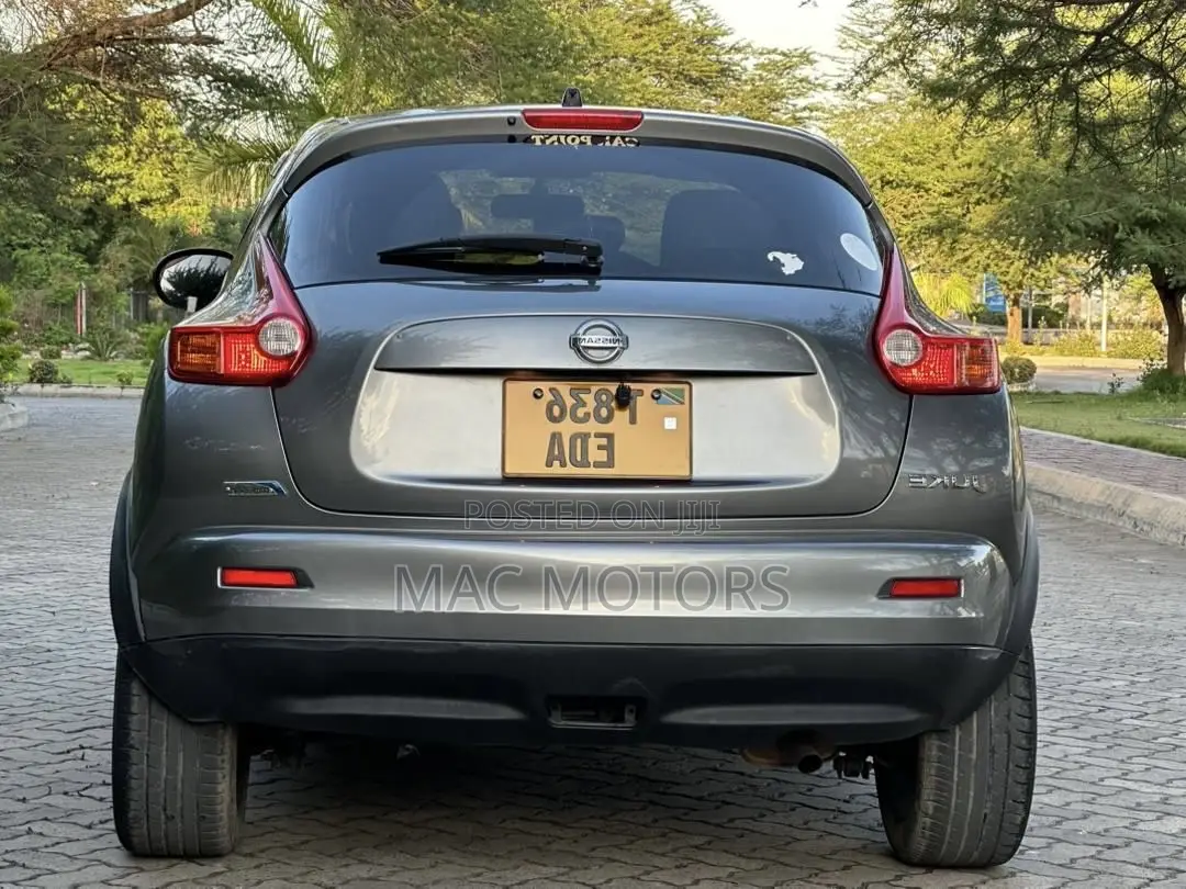 Nissan Juke 2011 Gray