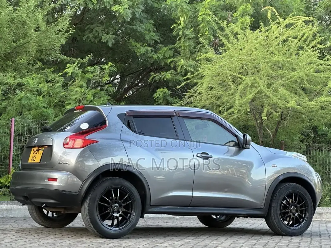 Nissan Juke 2011 Gray