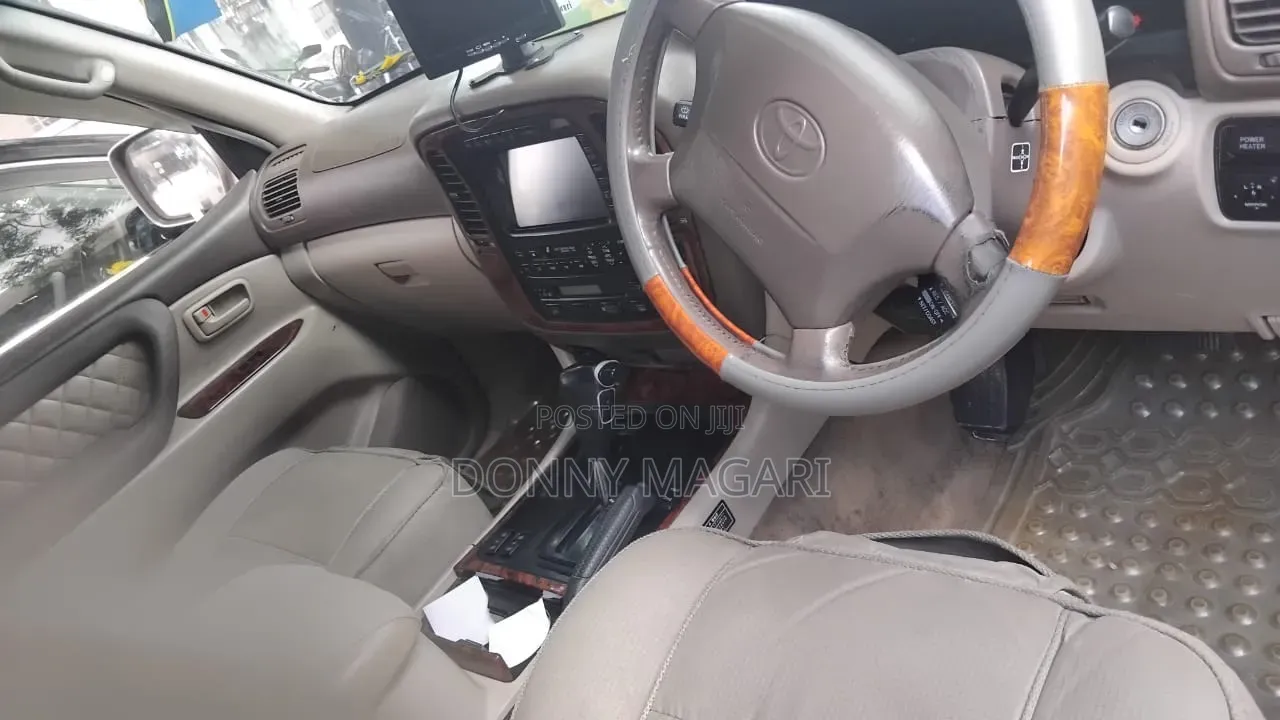 Toyota Land Cruiser 2010 Gray