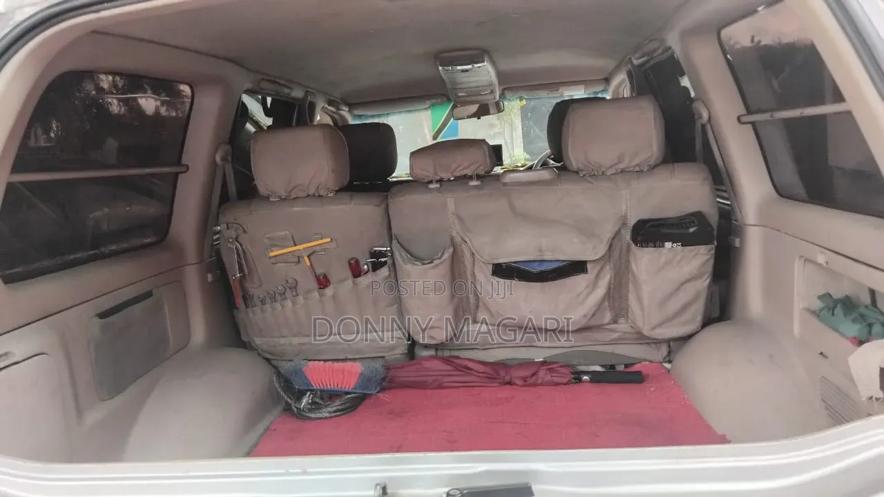 Toyota Land Cruiser 2010 Gray