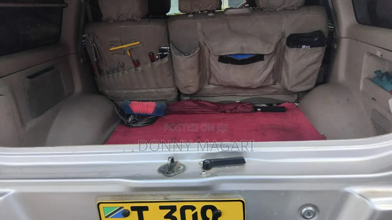 Toyota Land Cruiser 2010 Gray