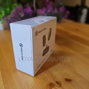 Hollyland Lark A1 Duo – Affordable Wireless Microphone | Dual Creator
