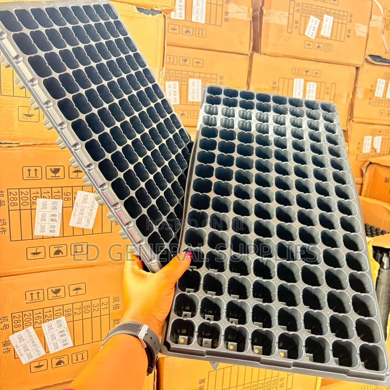 Seedling Trays
