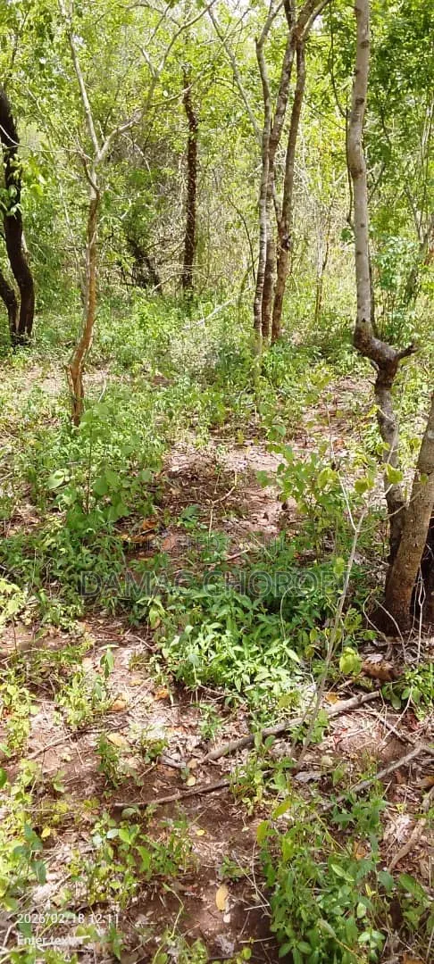 Industrial Plot for Sale Bagamoyo