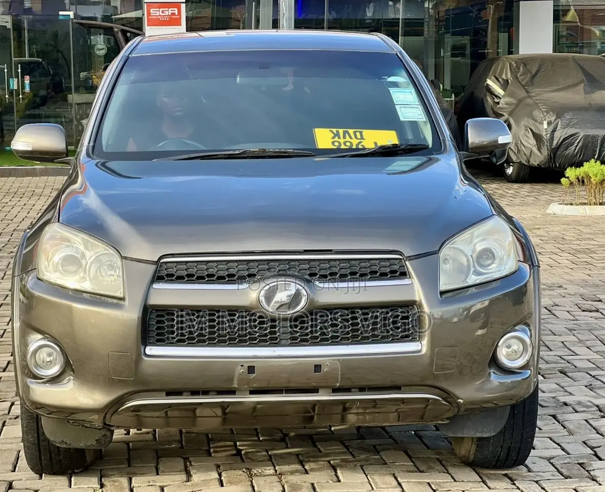 Toyota RAV4 2009 Brown