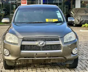 Toyota RAV4 2009 Brown