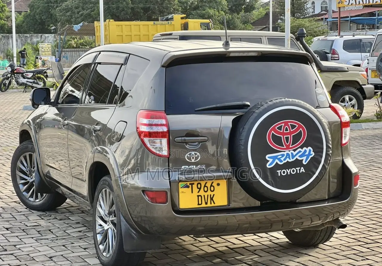 Toyota RAV4 2009 Brown