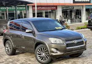 Toyota RAV4 2009 Brown