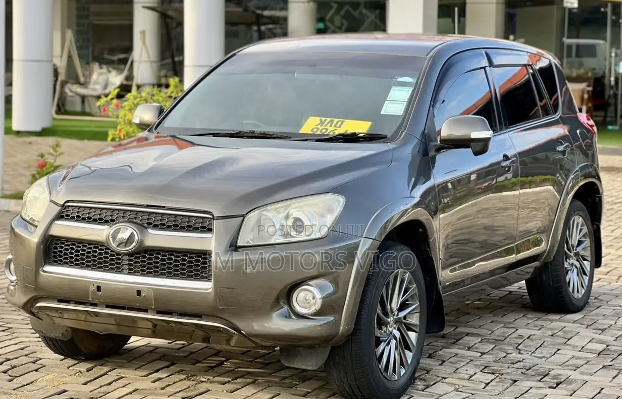 Toyota RAV4 2009 Brown