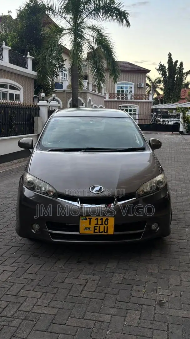 Toyota Wish 2009 Brown