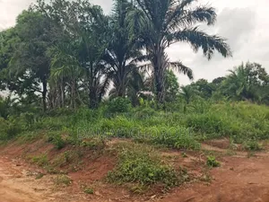 Industrial Plot For Sale Mkuranga