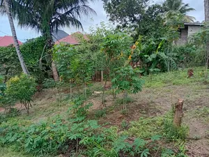Plot Area SQM 400 for Sale at Goba