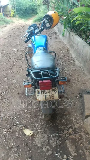Honda 2024 Blue