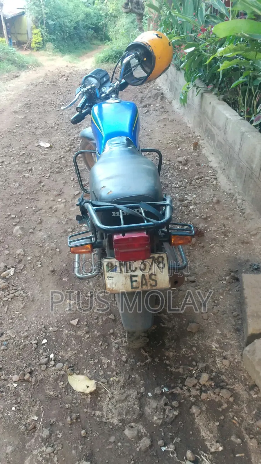 Honda 2024 Blue